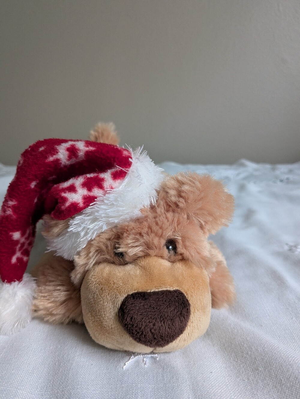 Christmas Puppy With Santa Hat And Scarf